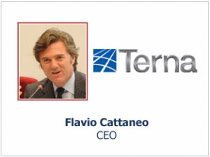 Flavio Cattaneo Terna 1H 2010 Consolidated Results